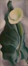 Georgia O'Keeffe Calla 1927
